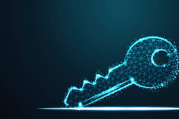 istock concept of cyber security or private key, Abstract 3d polygonal wireframe airplane on blue night sky with dots and stars. illustration or background 1392032022