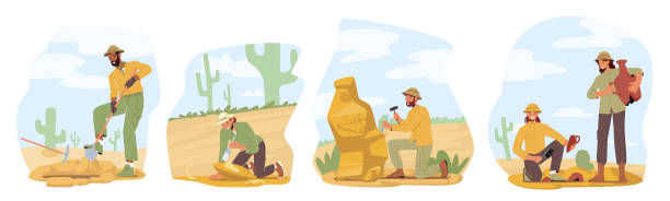 Set Archeologists, Paleontology Scientists Working on Excavations, Exploring Ancient Artifacts and Dinosaur Bones Set Archeologists, Paleontology Scientists Working on Excavations, Exploring Ancient Artifacts and Dinosaur Bones. Paleontologists Studying Skeleton Fossil and Clay Jugs. Cartoon Vector Illustration paleontologist stock illustrations