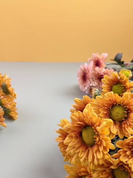 istock fresh flowers with template of quote concept 1392033320