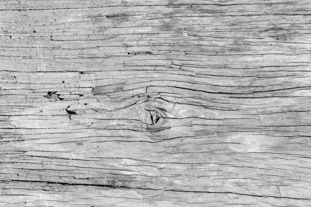 istock White wooden planed timber flooring, wall, background surface blank for design your product 1392043176