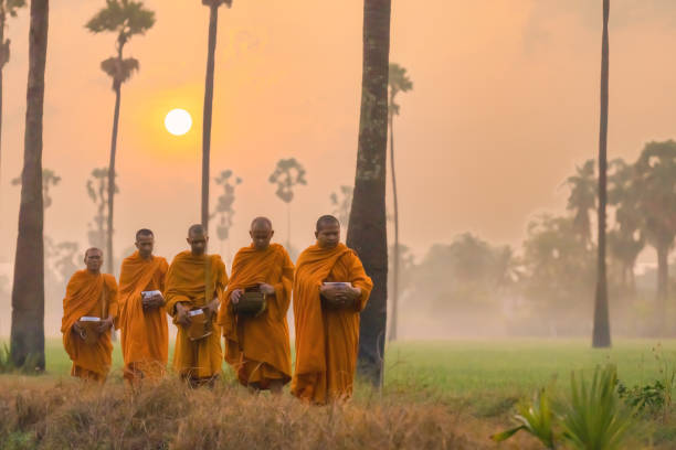 Buddhist monks going about to receive food from villager in morning in Thailand Buddhist monk with good spiritual going about with alms bowl to receive food from villager in morning with sunrise by walking in row across rice field with palm trees to village in Thailand buddhist house of worship stock pictures, royalty-free photos & images