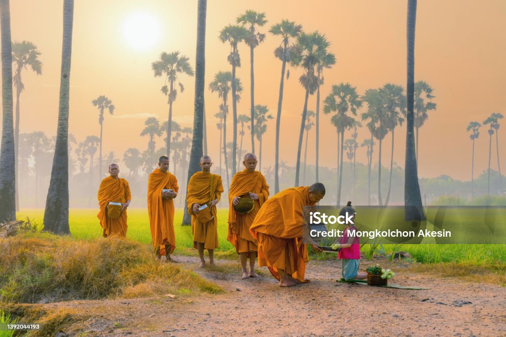 Thai girl from village in rural of Thailand offering foods to Buddhist monks Thai girl from village in rural of Thailand offering foods to Buddhist monks who going about with alms bowl to receive food in morning by walking across rice field with palm trees Thailand Stock Photo