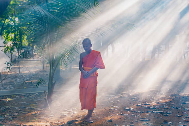 istock Buddhist monk practice walking meditation under tree in Buddhist temple 1392044288
