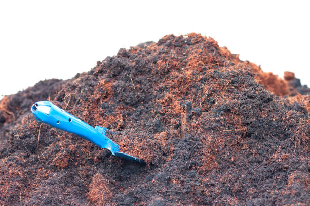 흰색 배경에 고립 된 파란색 삽이있는 토양�과 코코넛 먼지 더미. - interweave 뉴스 사진 이미지