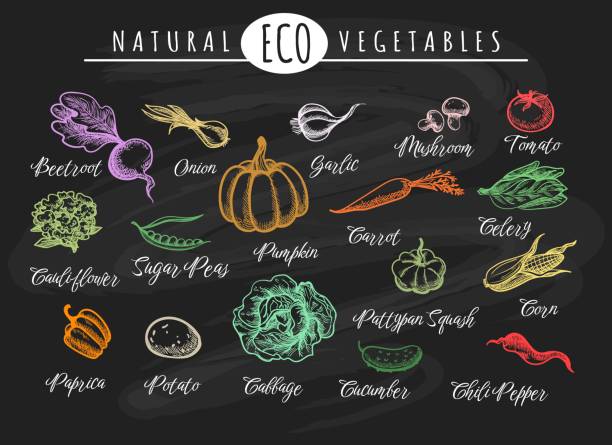 ilustrações de stock, clip art, desenhos animados e ícones de chalk drawn vegetables - healthy eating healthy lifestyle salad vegetable