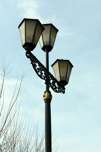 An old gas lantern against the background of bare willow branches and a clear blue sky. Tomsk, Siberia, Russia.