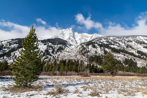 View from the base of the Teton Peaks covered with snow in Grand Teton National Park near Jackson Hole, Wyoming in western United States of America (USA).