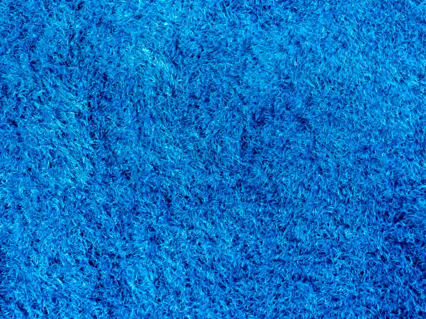 istock Carpet blue texture. Close-up clean blue rug background. 1392046941