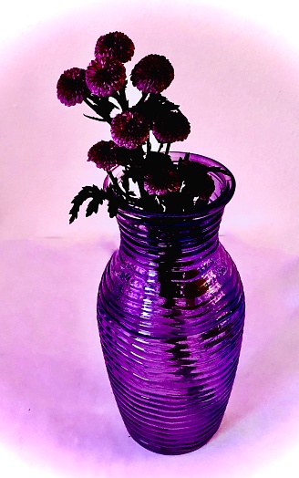 Purple flowers in a purple ribbed vase decorate a Hoboken, New Jersey apartment. Image background manipulation with vignette.