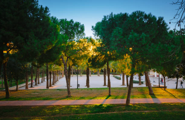 istock Warm evening during sunset in park Turia. Valenica, Spain 1392056700