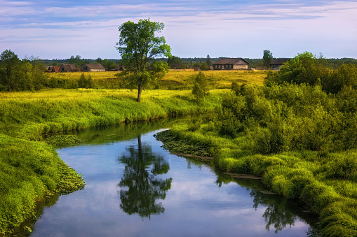 Summer rural landscape with a meandering river, the water of which reflects a lone linden tree, a grassy bank and a cloudy sky. Lush green bushes and wooden houses in the distance. Russia, Ural