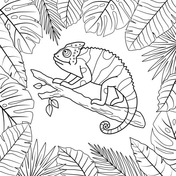 Stock vector cute chameleon on a tree branch and tropical leaves frame outline hand drawn illustration Black and white hand drawn illustration with chameleon lizard sitting on a branch in tropical jungle. Vector illustration on white background. chameleon stock illustrations
