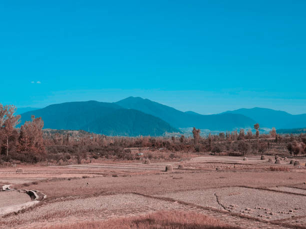 60+ Kupwara Stock Photos, Pictures & RoyaltyFree Images iStock