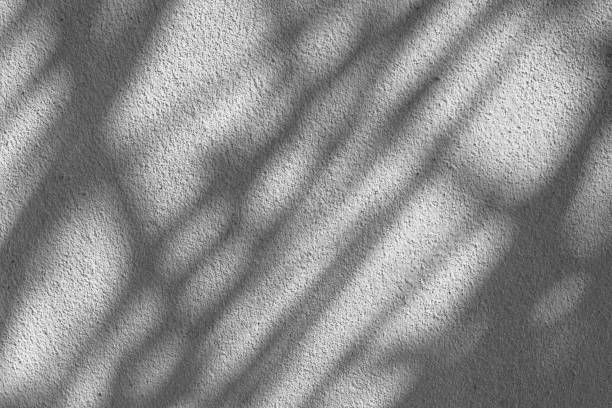 istock Black and White abstract background texture of shadows leaf on a concrete wall. 1392066814