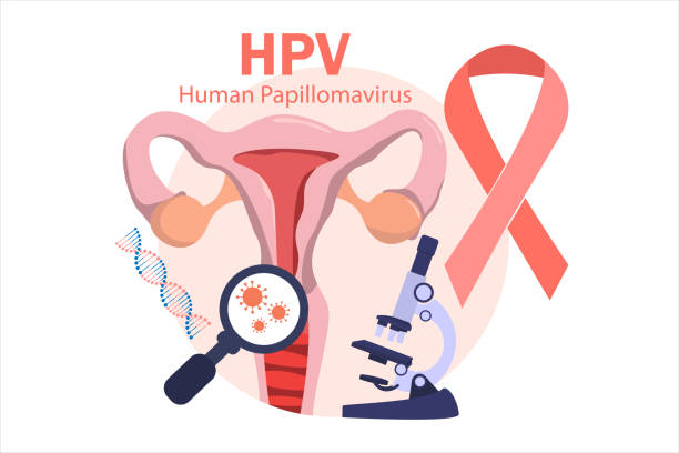hpv(ヒトパピローマウイルス)子宮頸がんのスクリーニングおよび治療、pap試験、ウイルス性器に感染し、子宮頸がんを引き起こす可能性があるウイルス株もある。女性の健康の概念。 - language therapy点のイラスト素材／クリップアート素材／マンガ素材／アイコン素材