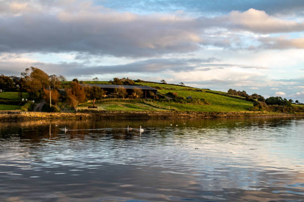 istock Sunset on Clonakilty Bay West Cork Ireland 1392072523
