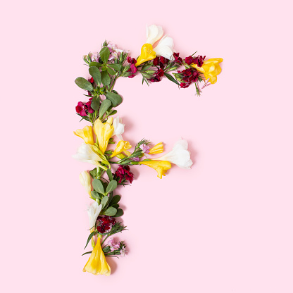 Letter F made of natural flowers, petals and leaves. Floral font concept. Collection of letters and numbers. Spring, summer and holidays creative idea.