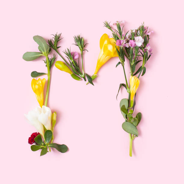 letter m made of natural flowers, petals and leaves. floral font concept. collection of letters and numbers. spring, summer and holidays creative idea. - letter m alphabet color image flower imagens e fotografias de stock