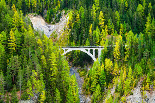 istock Railroad bridge in the woods. Aqueduct for trains. Forest as a background. Large resolution photo for the design. 1392073992
