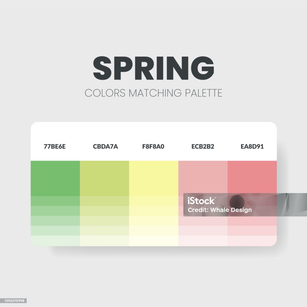 Vetores de Paleta De Cores Ou Esquemas De Cores São Combinações De ...