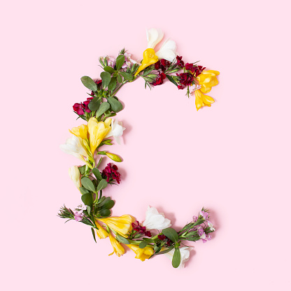 Letter C made of natural flowers, petals and leaves. Floral font concept. Collection of letters and numbers. Spring, summer and holidays creative idea.