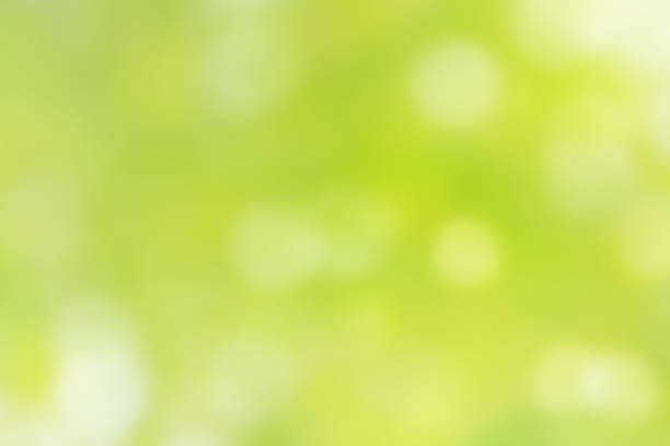 Beautiful pastel green background with soft and sparkling sunlight filtering through the trees