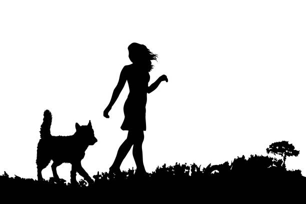 silhouette einer frau mit hund auf wiese isoliert auf weißem hintergrund. spazierengehen mit hund im grasland. - frau weide stock-grafiken, -clipart, -cartoons und -symbole