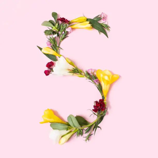 Letter S made of natural flowers, petals and leaves. Floral font concept. Collection of letters and numbers. Spring, summer and holidays creative idea.