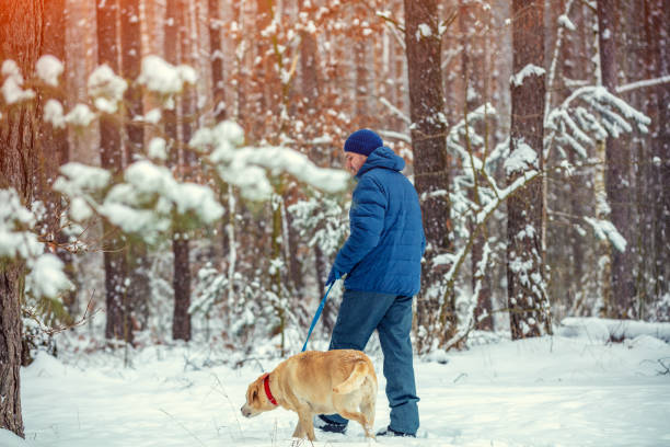 istock Man with dog walking in a winter snowy forest 1392086794