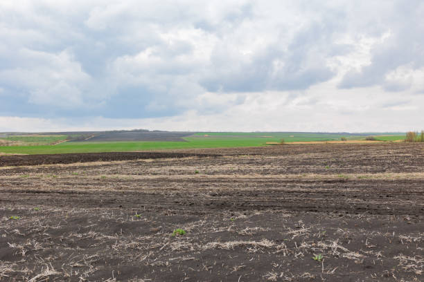 istock plowed field and blue sky. prepared land for sowing 1392086845