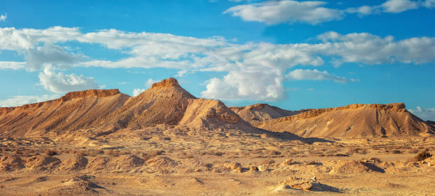 vue panoramique sur le désert. vue de la vallée avec des montagnes en toile de fond. nature d’israël - arid climate travel destinations canyon dawn photos et images de collection