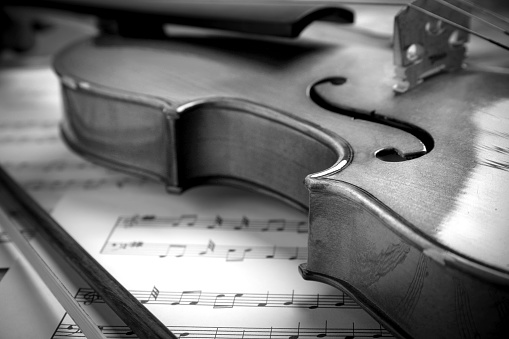 Beautiful violin, bow and note sheets, closeup. Black and white tone