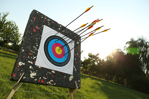 Arrows in archery target on green grass outdoors