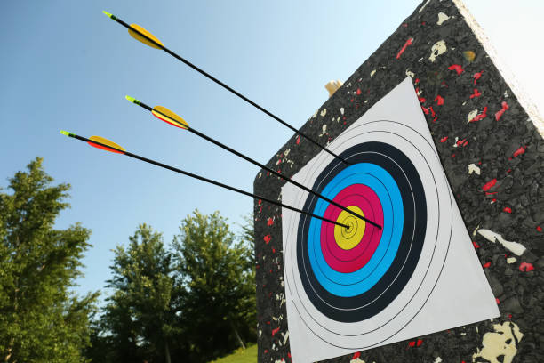 istock Arrows in archery target outdoors, closeup view 1392090925