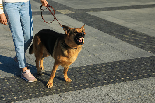 Woman with her aggressive dog walking outdoors, closeup