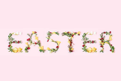 Word EASTER made of different flowers isolated on pink background. Easter holiday creative concept