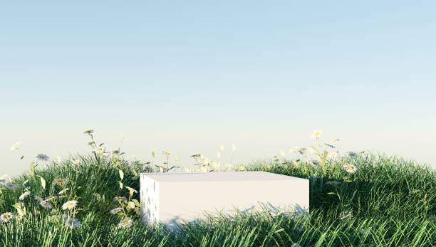 3d rendering of stone podium and grass. stock photo