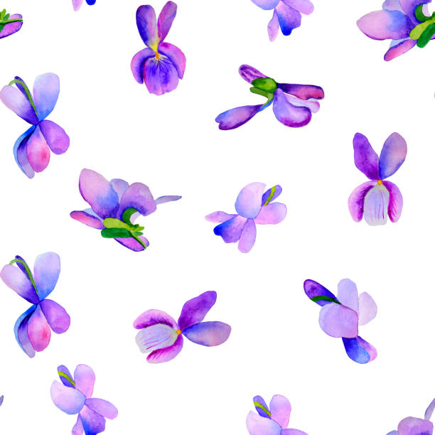 istock Violet wild flowers watercolor seamless pattern. Hand drawn purple flowers illustration on isolated background. Gentle and bright summer background. For fabric and wallpaper. 1392093401
