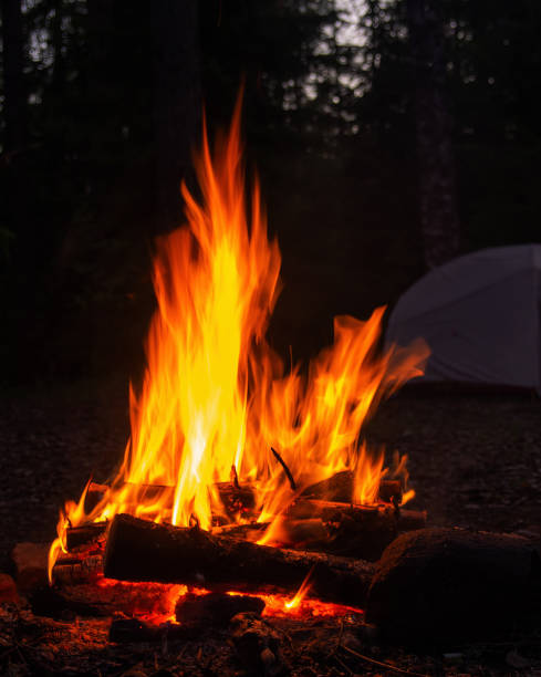 istock Burning campfire, with camping tent in the background, deep inside the forest, at sunset. 1392094109