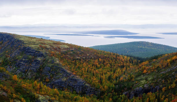 nordrussland khibiny-gebirge im herbst bergsee und wald. region murmansk - forest tundra stock-fotos und bilder