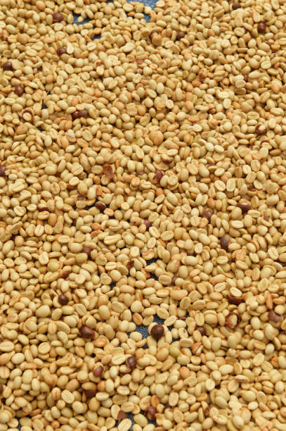 istock Close up of coffee beans 1392094952
