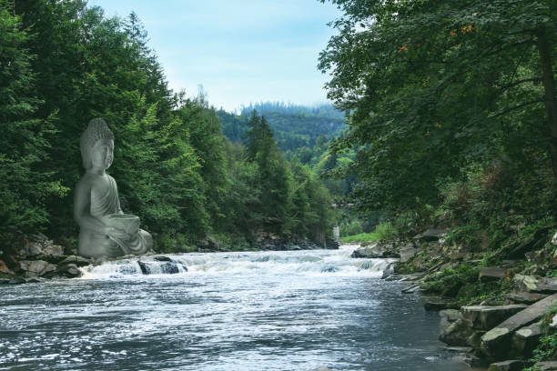 River in forest. Spring. Protection of nature.