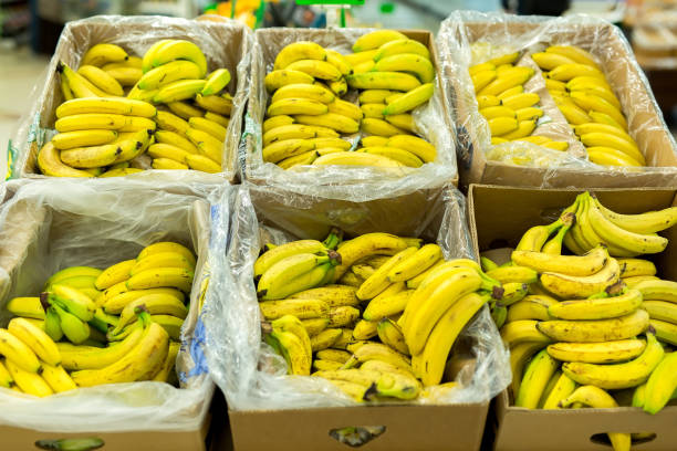 istock Bananas in the boxes in the supermarket. 1392096558