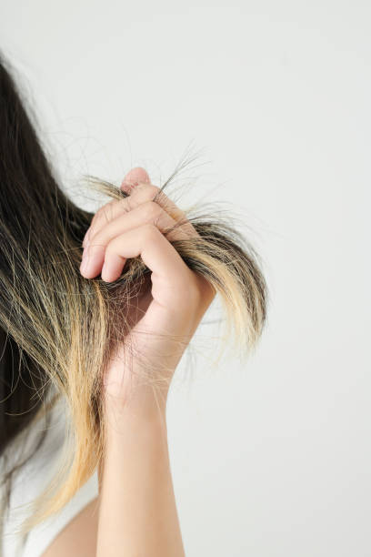 istock Dyed Dry Tangled Hair 1392097799
