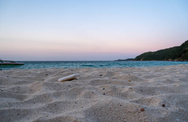 istock Unclean beach, foam rubbish littered on sand 1392099305