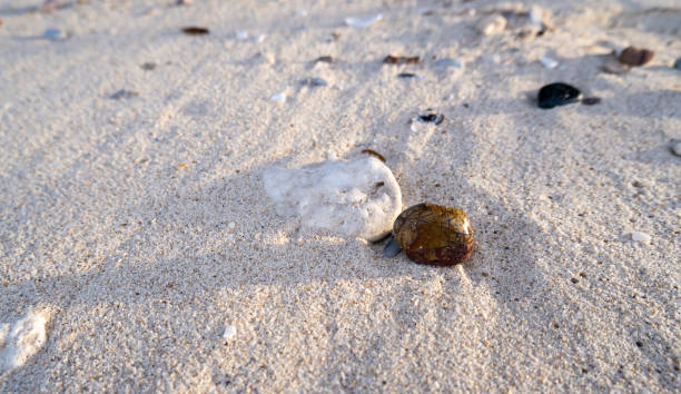 istock pebbles on the beach, filled with grains of sand 1392100947