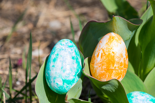 Close-up of a hand holding a colored Easter egg. Green background.