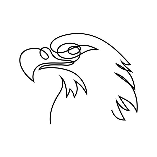 Eagle head Eagle head in continuous line art drawing style. Black linear design isolated on white background. Vector illustration continuous line drawing bird stock illustrations