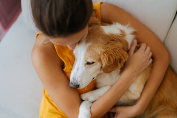 istock Morning cuddles with my dog 1392114678