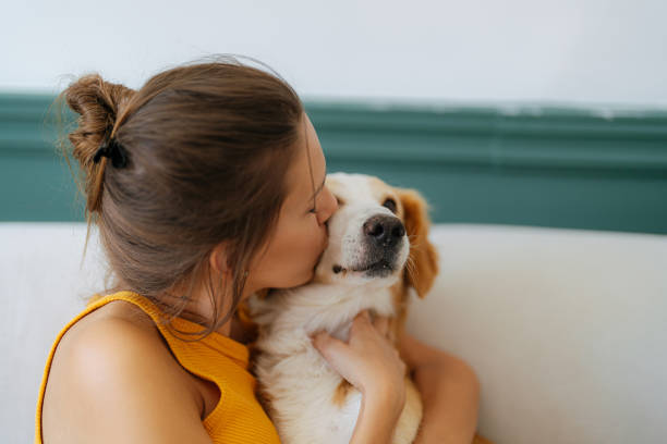 istock Morning cuddles with my dog 1392114693